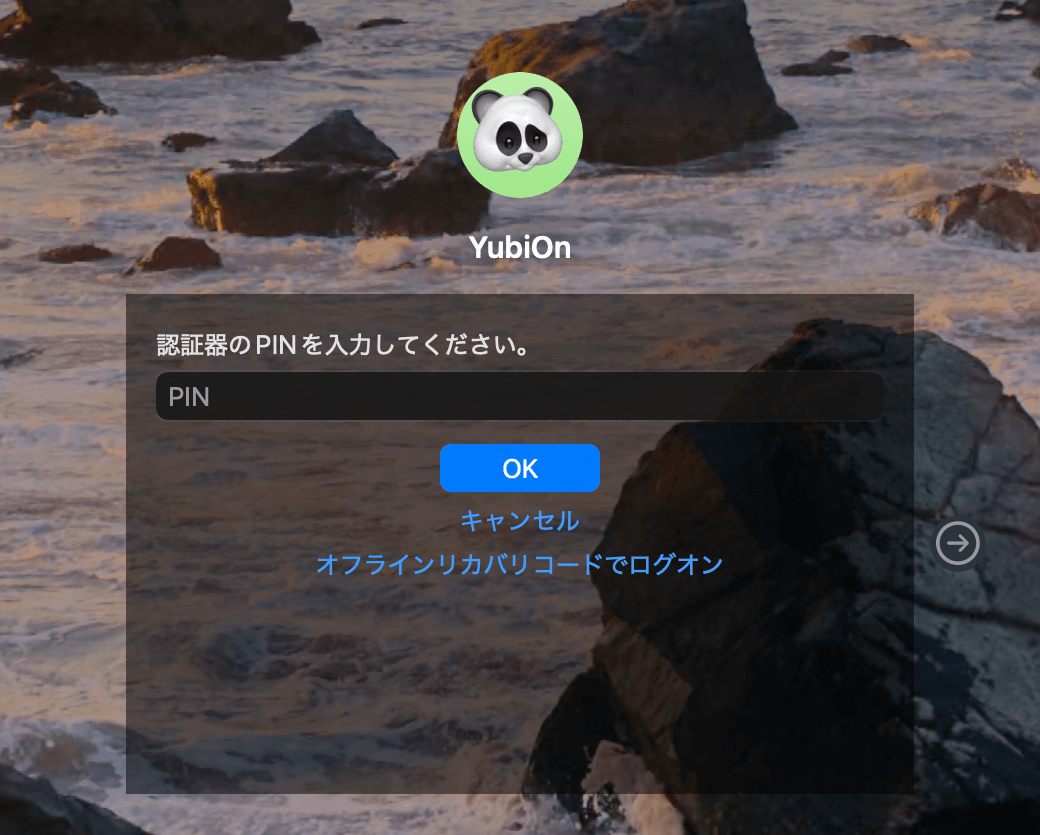 16_logon_pin_input.png