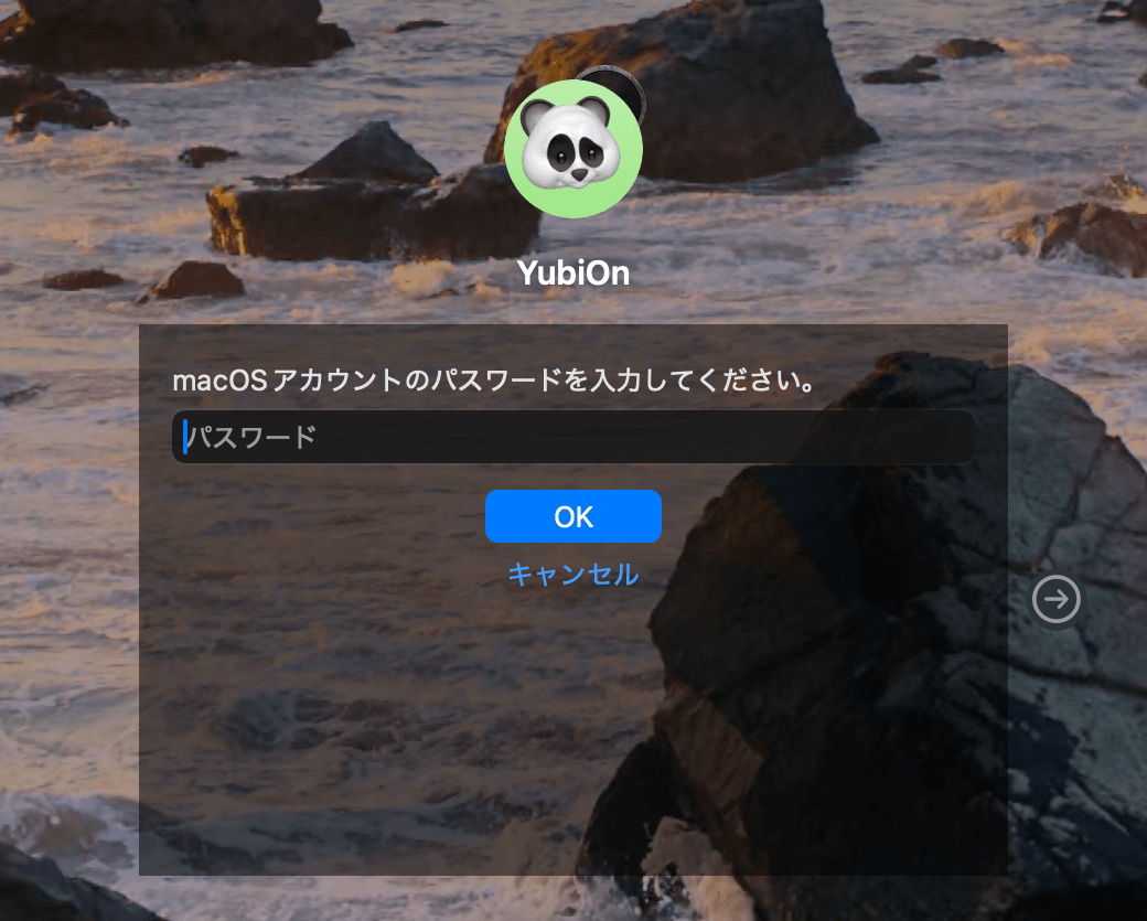 18_logon_password_fallback.png